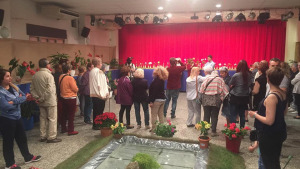 Creix la participació a l'Exposició de Flors del CER