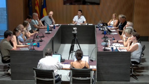 El plenari efectua el primer pas per formalitzar les comunitats energètiques locals