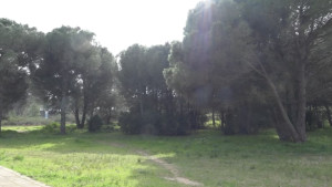 La Generalitat invertirà mig milió d'euros a l'Escala aquest 2026