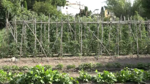 L'Ajuntament posa la base per un projecte d'horts comunitaris