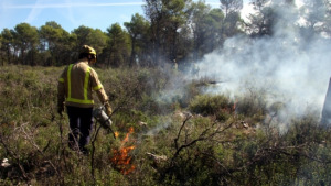 El Parc a la Ràdio - Gestió forestal al Montgrí