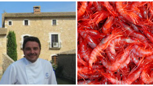 Dr. Productes - La gamba vermella