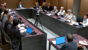 El Pla Local d'Ocupació acapara els precs i preguntes del ple de març