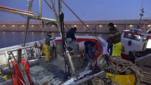 Avui últim dia de pesca abans de l'aturada ecològica