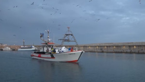 Tornada de la veda amb bona pesca però amb convocatòria de vaga general