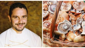 Doctor Productes-Rovellons