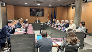 La llevantada i els seus efectes a debat al Ple Municipal de gener