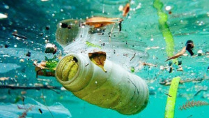 Avui s'han estrenat els tallers de pesca sostenible 