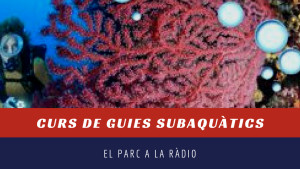 El Parc a la Ràdio - Curs guies subaquàtics