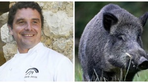 Doctor Productes-Senglar