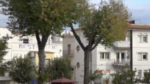 Aquest any es col·locarà un segon arbre de Nadal a la plaça de l'Ajuntament