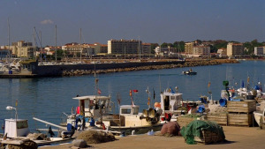 En Comú mediarà a Madrid pels problemes amb les tonyines