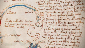 Entrevista a Josep Torrent