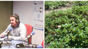 Dr. Productes - Verdolagues