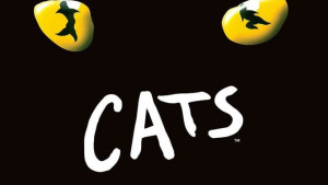 Els alumnes de TeArt presenten el musical Cats