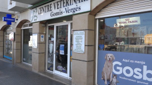 Els veterinaris fan una 'crida a la calma' davant dels 'rumors' d'augment de casos de leptospirosi canina