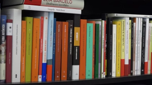 Bones vendes de llibres durant l'estiu