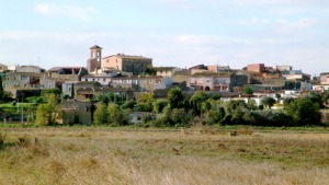 S'incendien 3 Ha de terreny agrícola a Albons