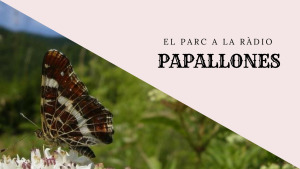 El Parc a la Ràdio - Papallones