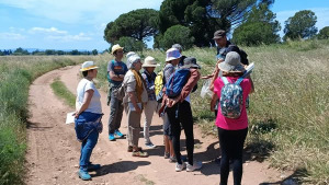 La pedra seca i les papallones al Parc Natural del Montgrí