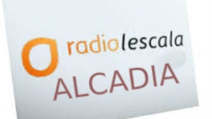 Alcaldia 08/02/17