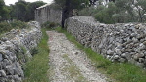 El Parca a la Ràdio - El Parc Natural te un patrimoni cultural reconegut per la UNESCO
