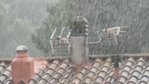 Els grops s'enduen l'onada de calor