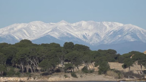 Un febrer de récord posa la cirereta a un no hivern