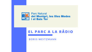 El Parc a la Ràdio - Al Parc es fan plantades d'arbres.