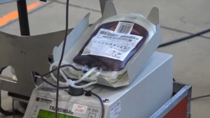 Segona donació de sang a l'Escala per Setmana Santa