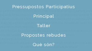 Les propostes escollides al taller dels pressupostos participatius es podran consultar al web