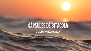 Càpsules de Bitàcola - Eleni Tsaligopoulou