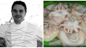 Dr. Productes - La sèpia