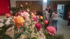 Bona participació a l'Exposició de flors del CER