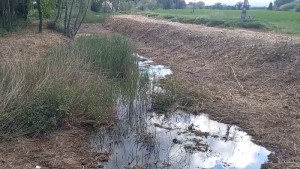 La Comunitat de Regants del Baix Ter fa neteja del Rec del Molí