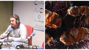 Dr. Productes - Garotes