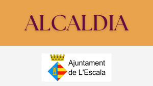 Alcaldia 04/06/25