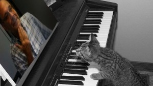 Torna-la a tocar Sam 18/09/16