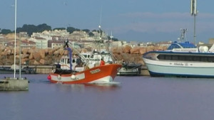 Les teranyines tornen a pescar