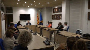 La Rua de Carnaval es farà sense limit d'aforament però amb mascareta