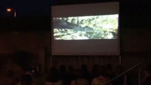 Augment de públic al cinema del CER