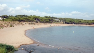 Reconstrucció duna litoral Platja del Rec