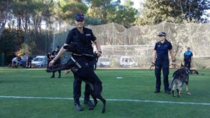Taller de gossos policia a l'Escola Empúries