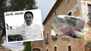 Dr. Productes - Lluç