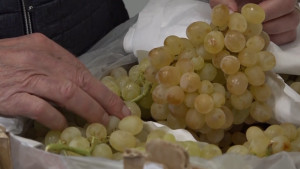El raïm s'encareix per Cap d'Any, encara que no tant com altres fruites d'importació