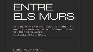 Mercè Roca, de l'UPV, guanya la Beca de Tardor