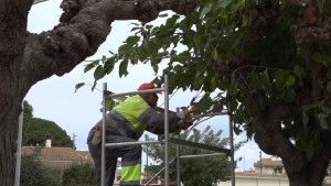 Gent de l'Escala demana una Brigada Municipal més professional