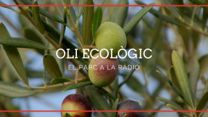 El Parc a la Ràdio - Oli ecològic