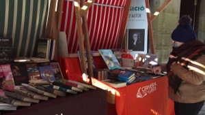 La Xarxa de Viles del Llibre s'escampa pel territori