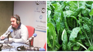 Dr. Productes - Bledes